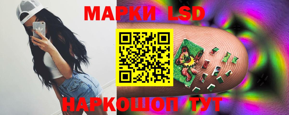 ЛСД экстази ecstasy  Вход с VPN  Алатырь 