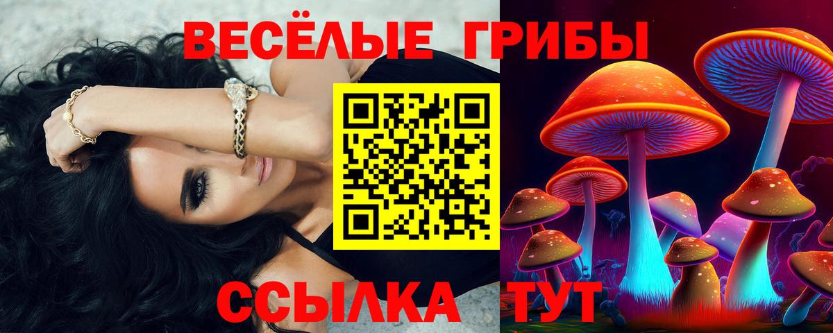 Псилоцибиновые грибы мухоморы  Галлюциногенные грибы ЛСД  Алатырь  Вход с VPN 